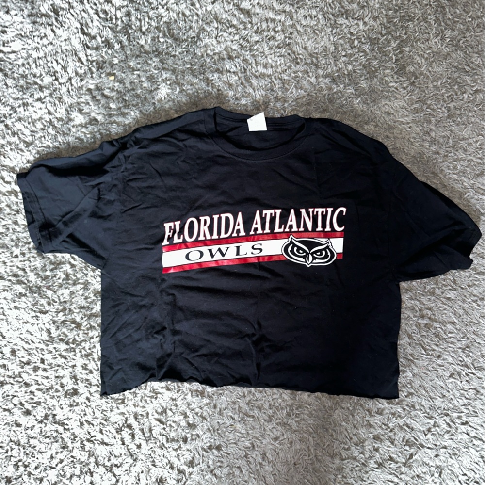 FAU Crop Top
